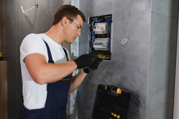 Best Ceiling Fan Installation Electrician  in Eastwood, MI