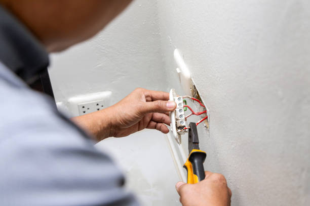 Best Electrical System Inspection  in Eastwood, MI
